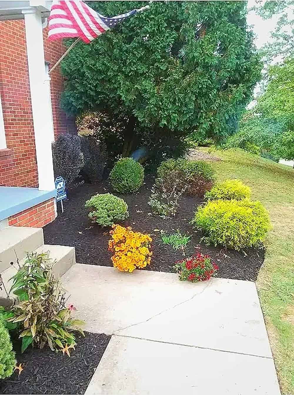 Lawn Edging image