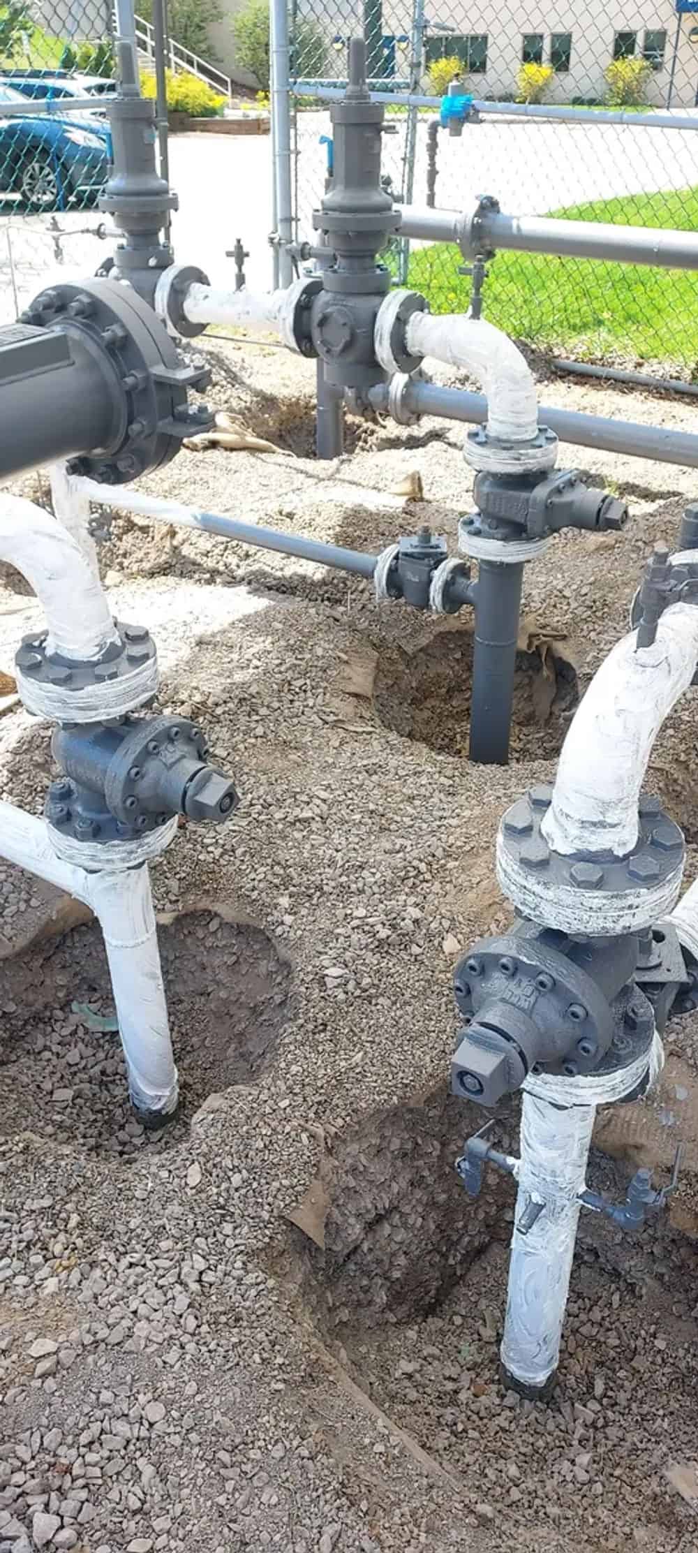 Stump Removal image