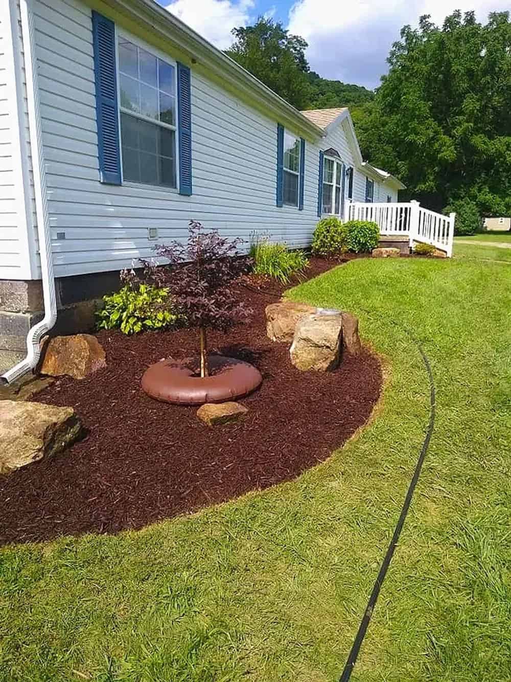 Shrub Planting image