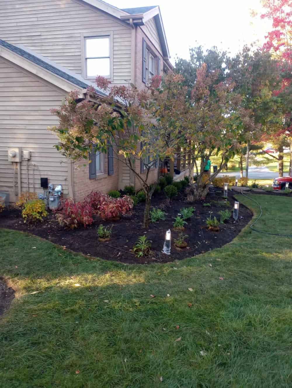 Lawn Aeration image