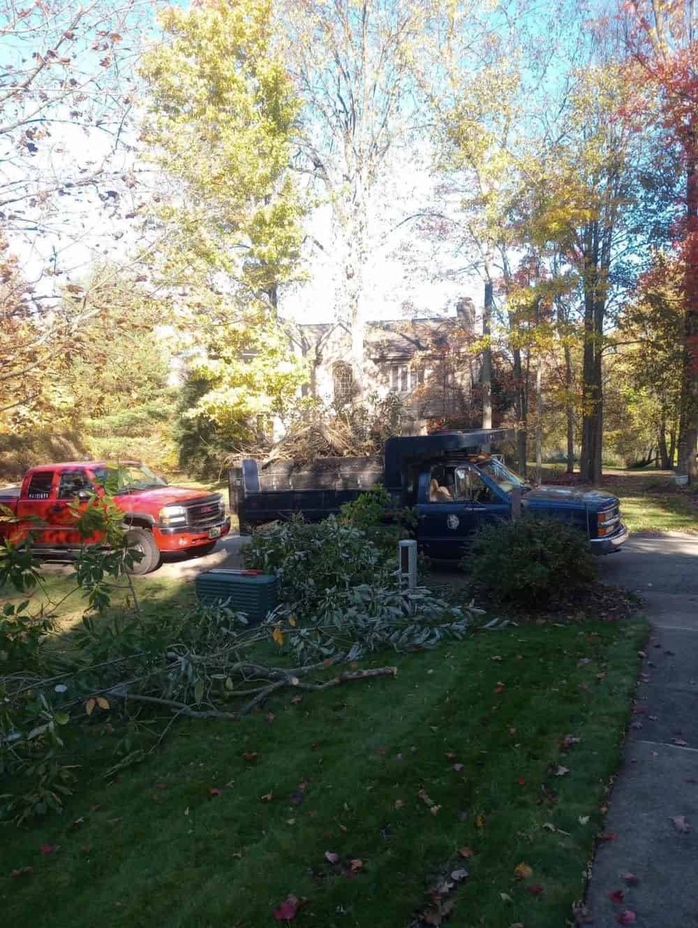 Spring & Fall Cleanups image