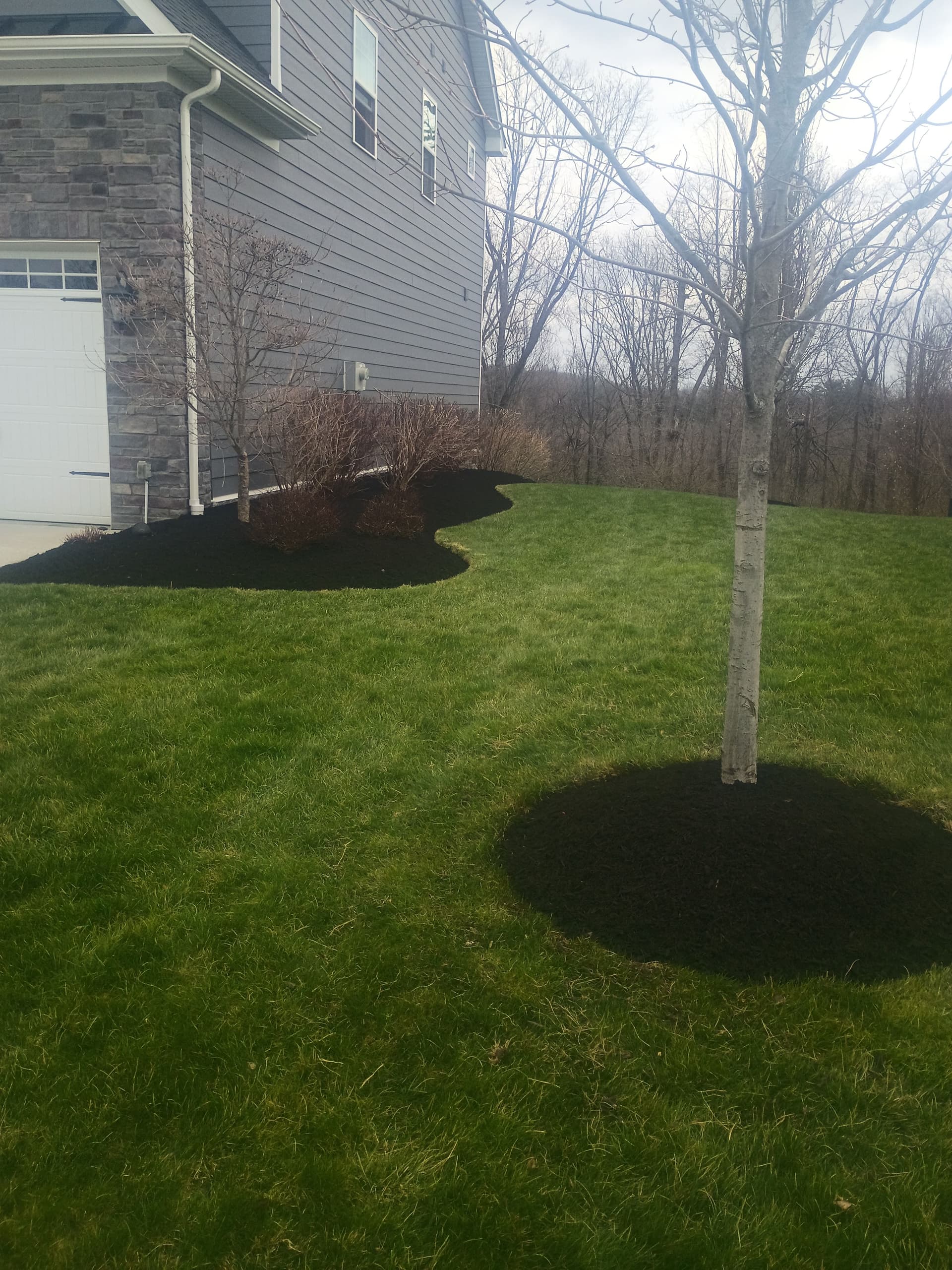 Gallery photos for Black Mulch, Boulder Accents and a Paver Patio Done Right: Image #6