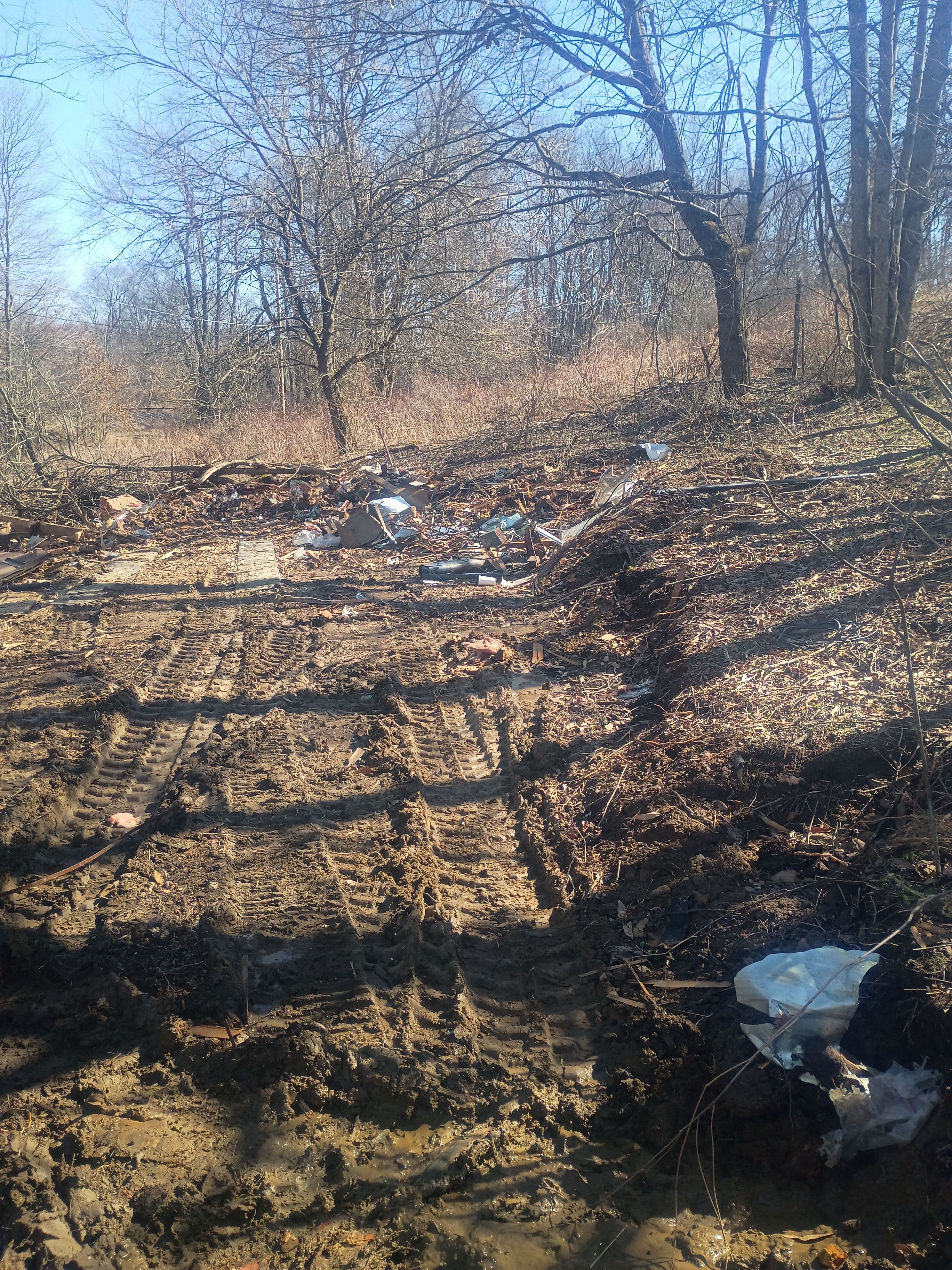 Project Clearing and Prepping for New Beginnings image