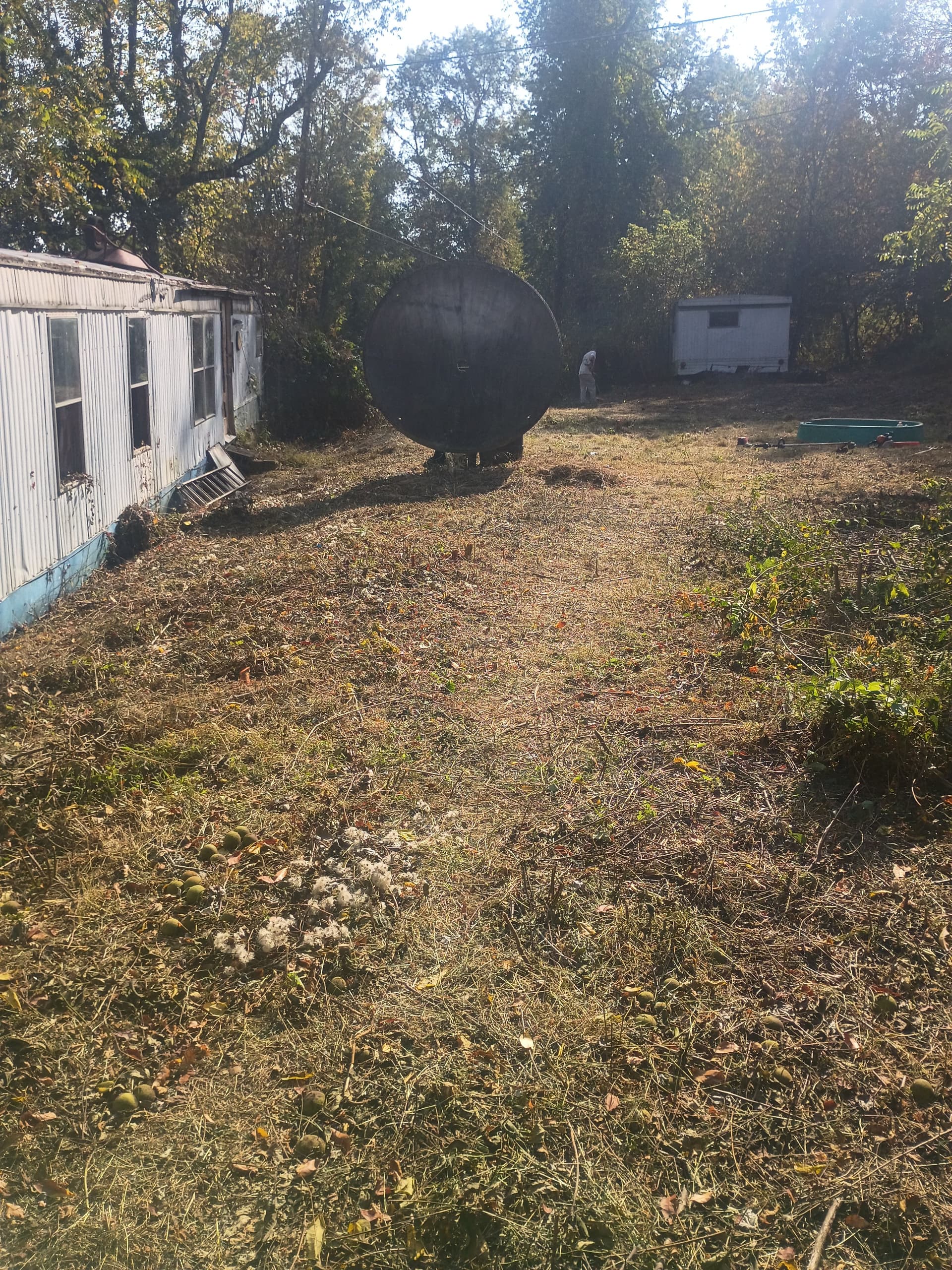 Gallery photos for Clearing and Prepping for New Beginnings: Image #4