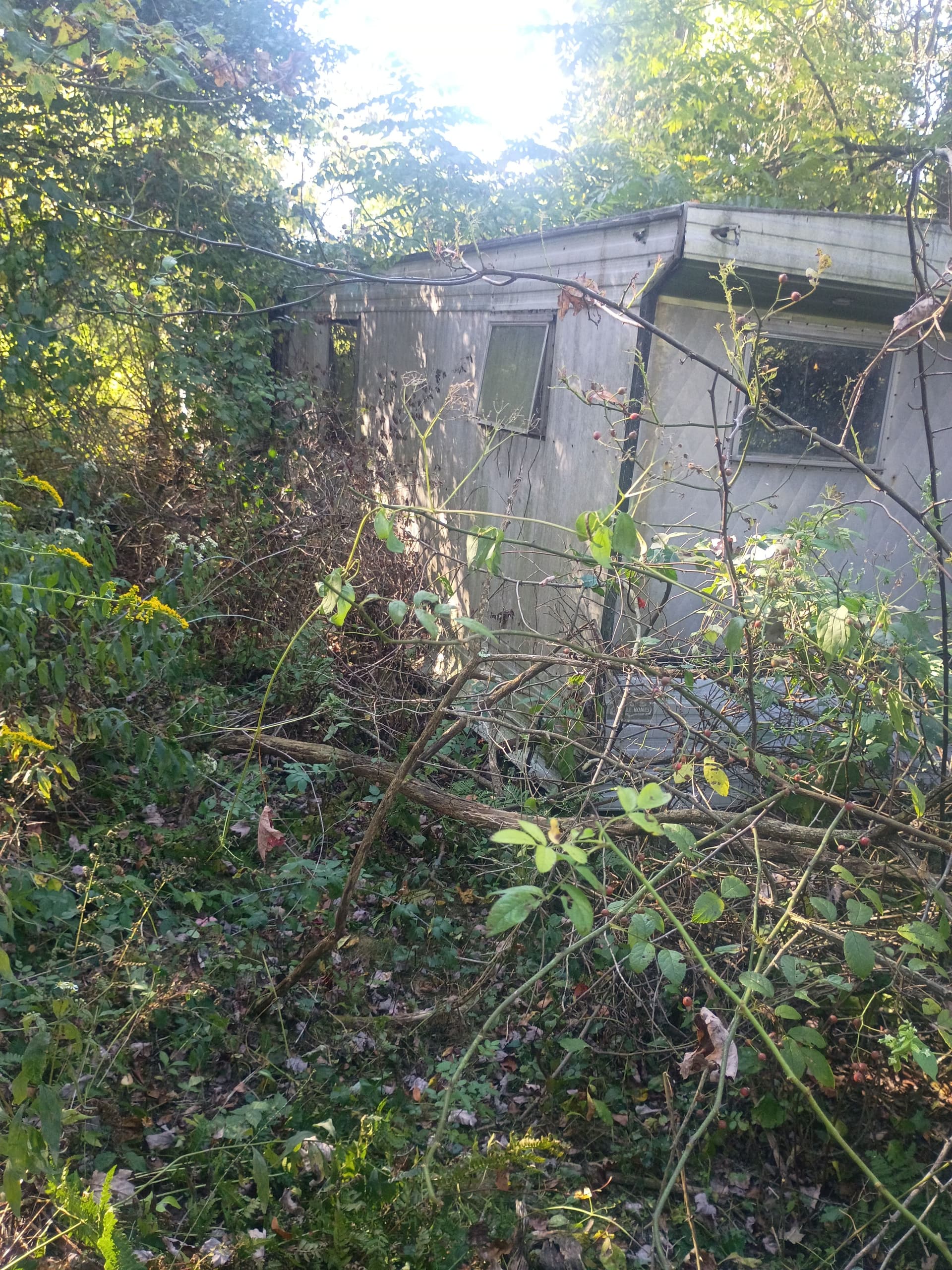 Gallery photos for Clearing and Prepping for New Beginnings: Image #5