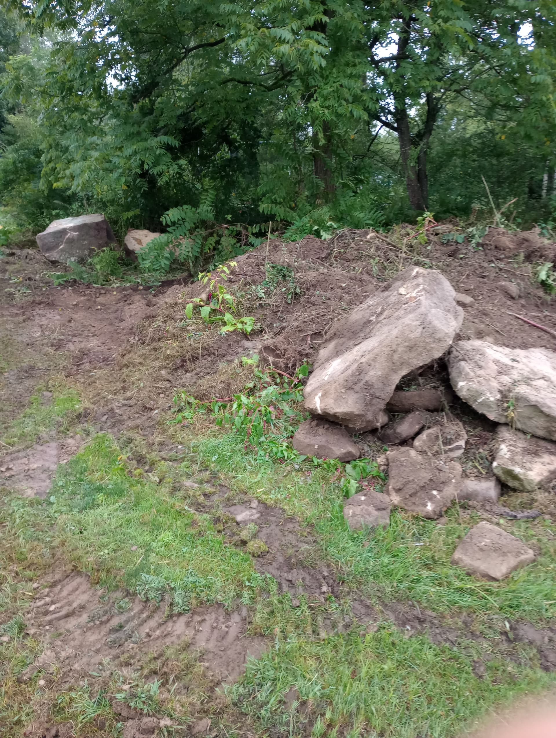 Transform Your Outdoor Space with Boulder Expertise