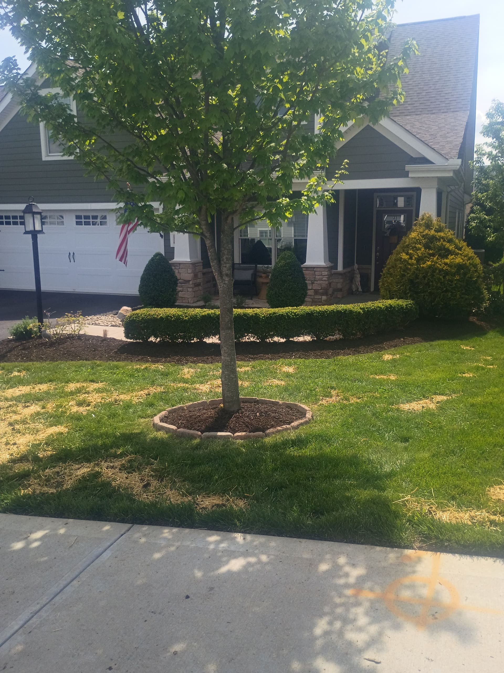 Gallery photos for Fresh Plants and Shrubs Fill Out These Garden Beds: Image #2