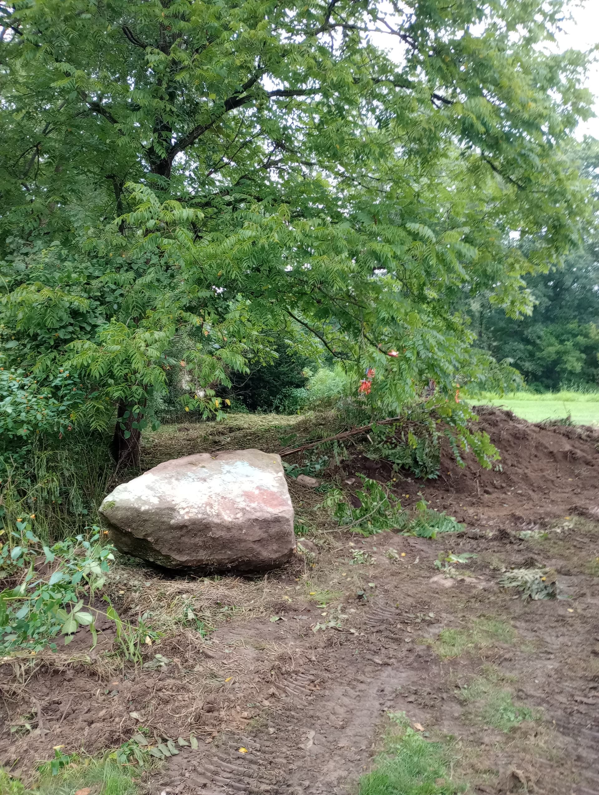 Transform Your Outdoor Space with Boulder Expertise