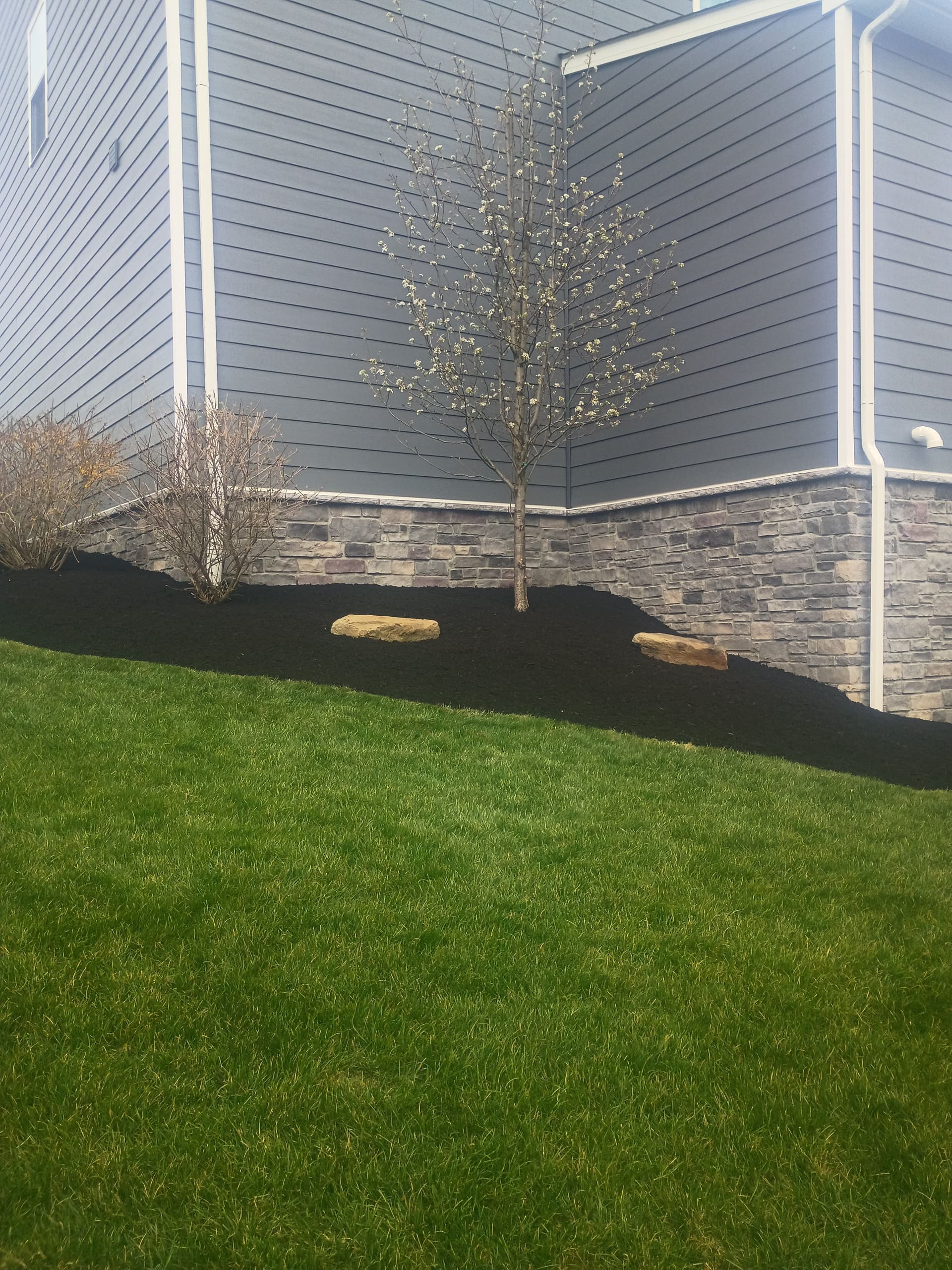 Gallery photos for Black Mulch, Boulder Accents and a Paver Patio Done Right: Image #3