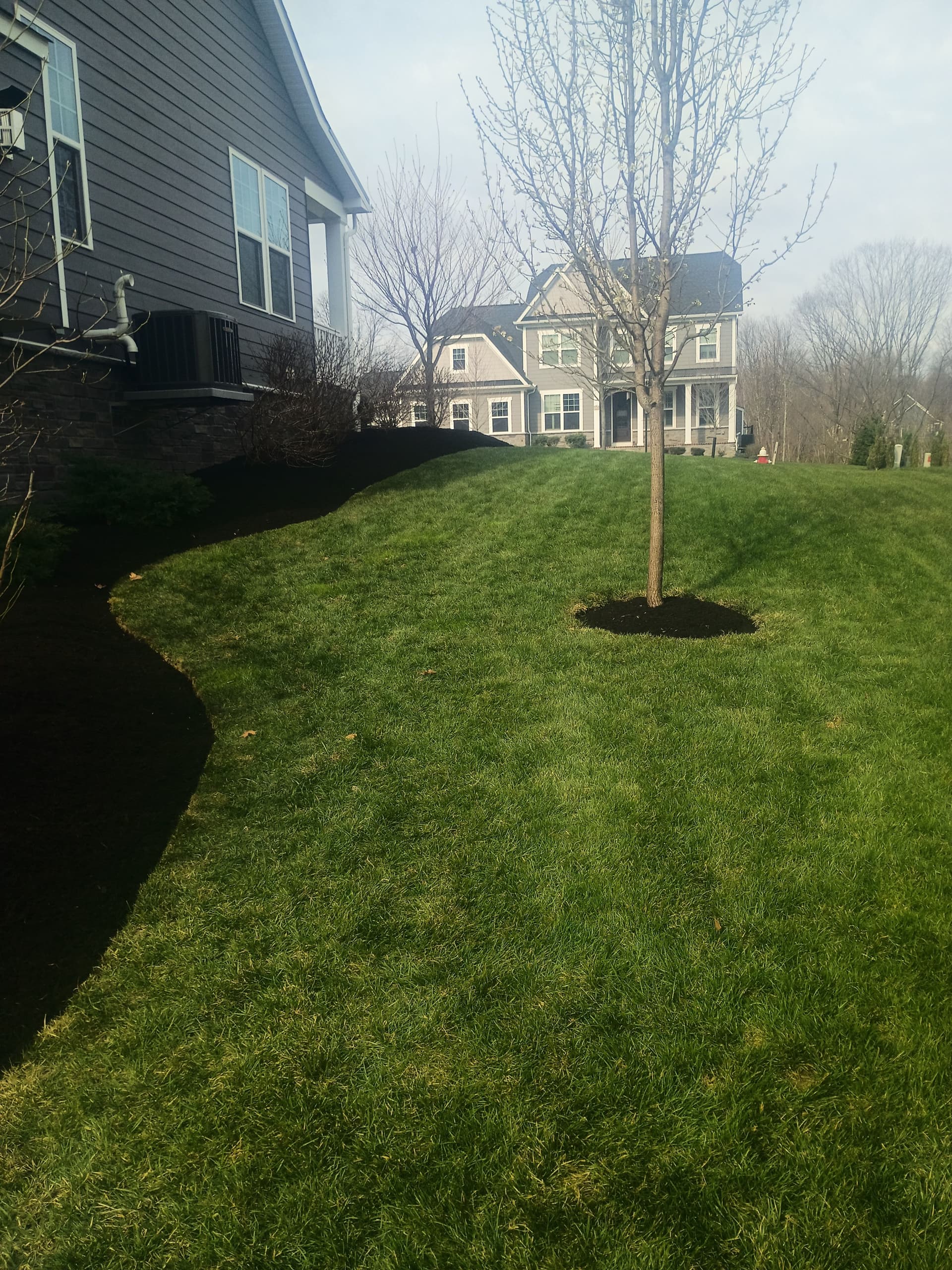 Gallery photos for Black Mulch, Boulder Accents and a Paver Patio Done Right: Image #1