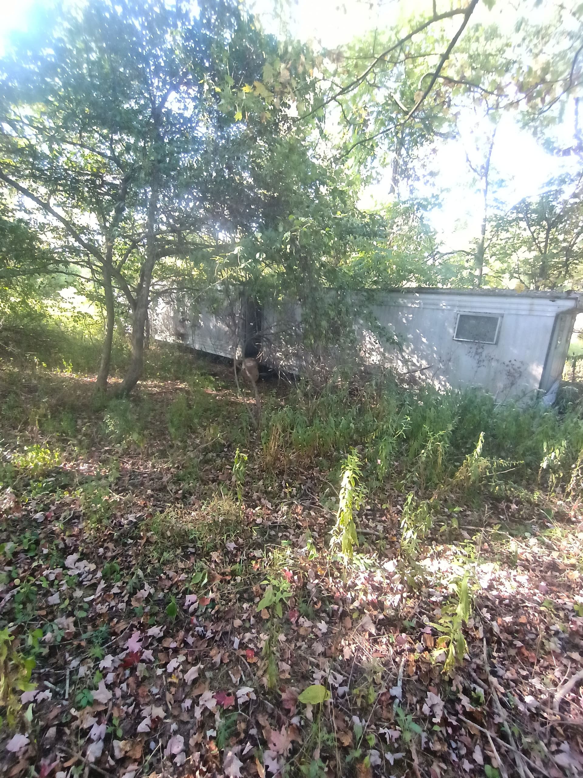 Gallery photos for Clearing and Prepping for New Beginnings: Image #7