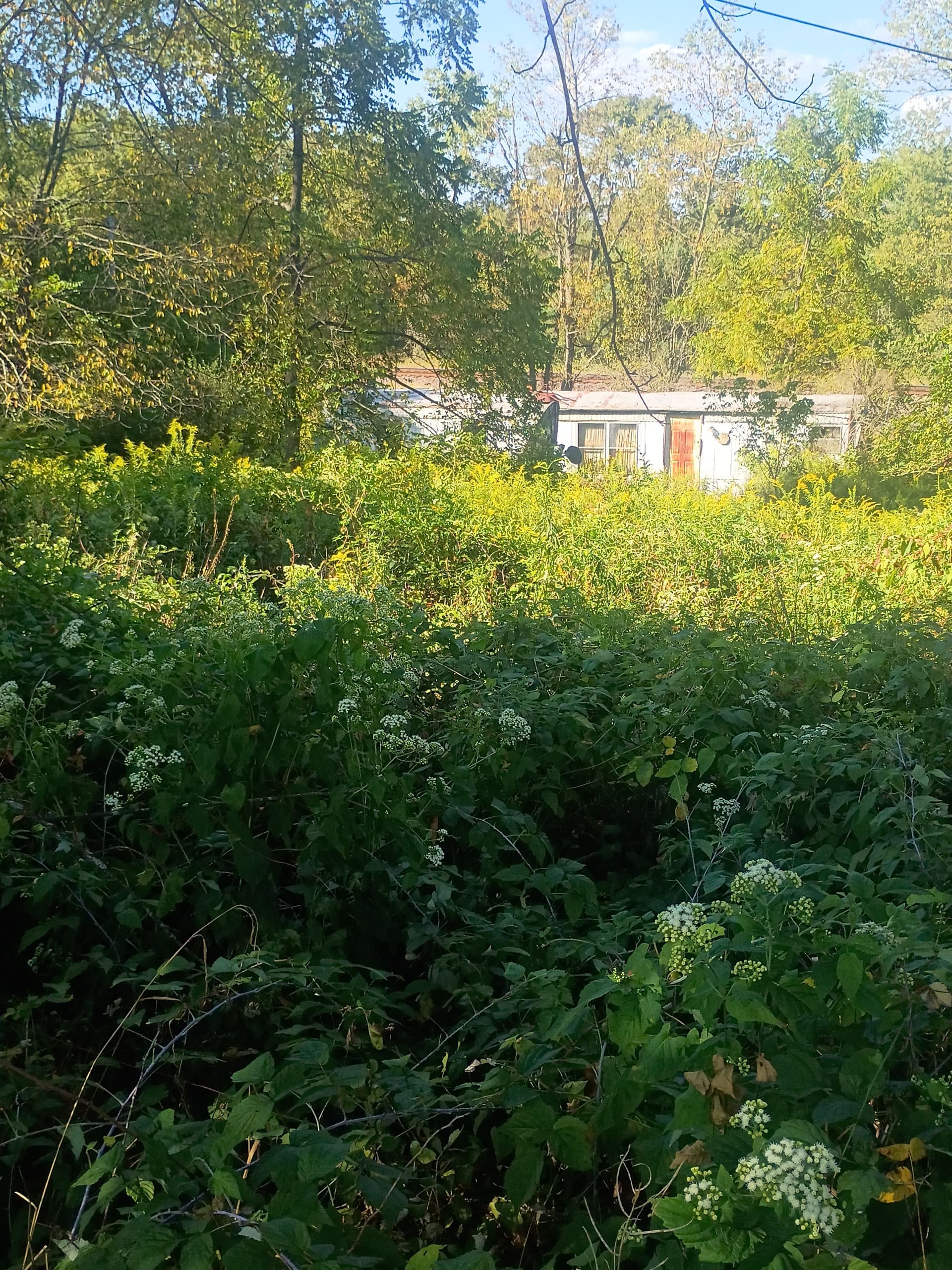 Gallery photos for Clearing and Prepping for New Beginnings: Image #6