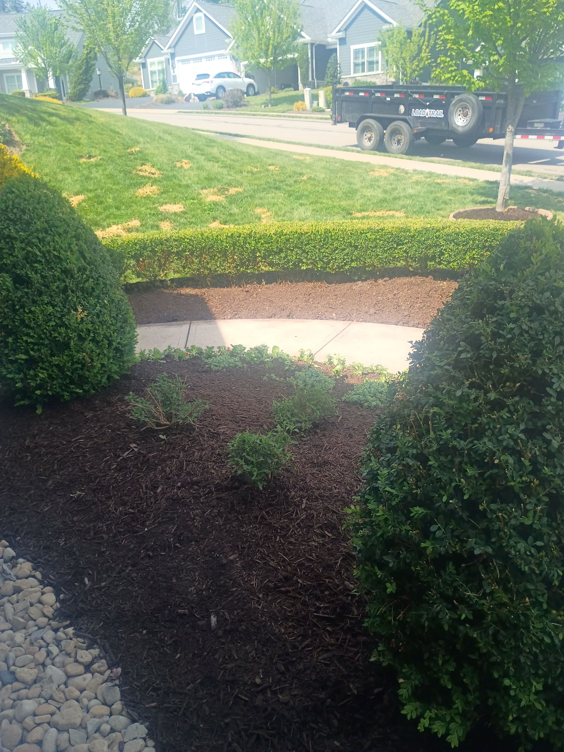 Fresh Plants and Shrubs Fill Out These Garden Beds image