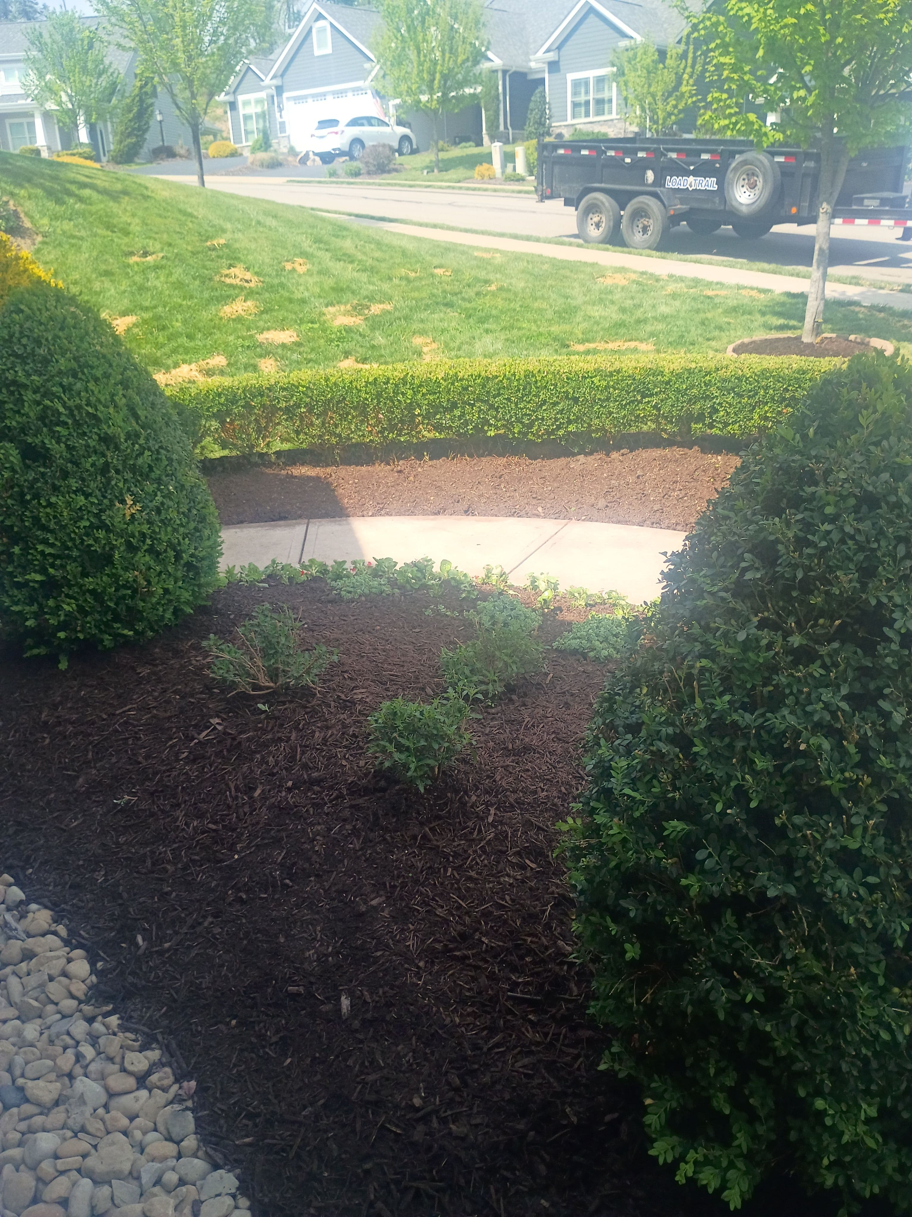 Project Fresh Plants and Shrubs Fill Out These Garden Beds image