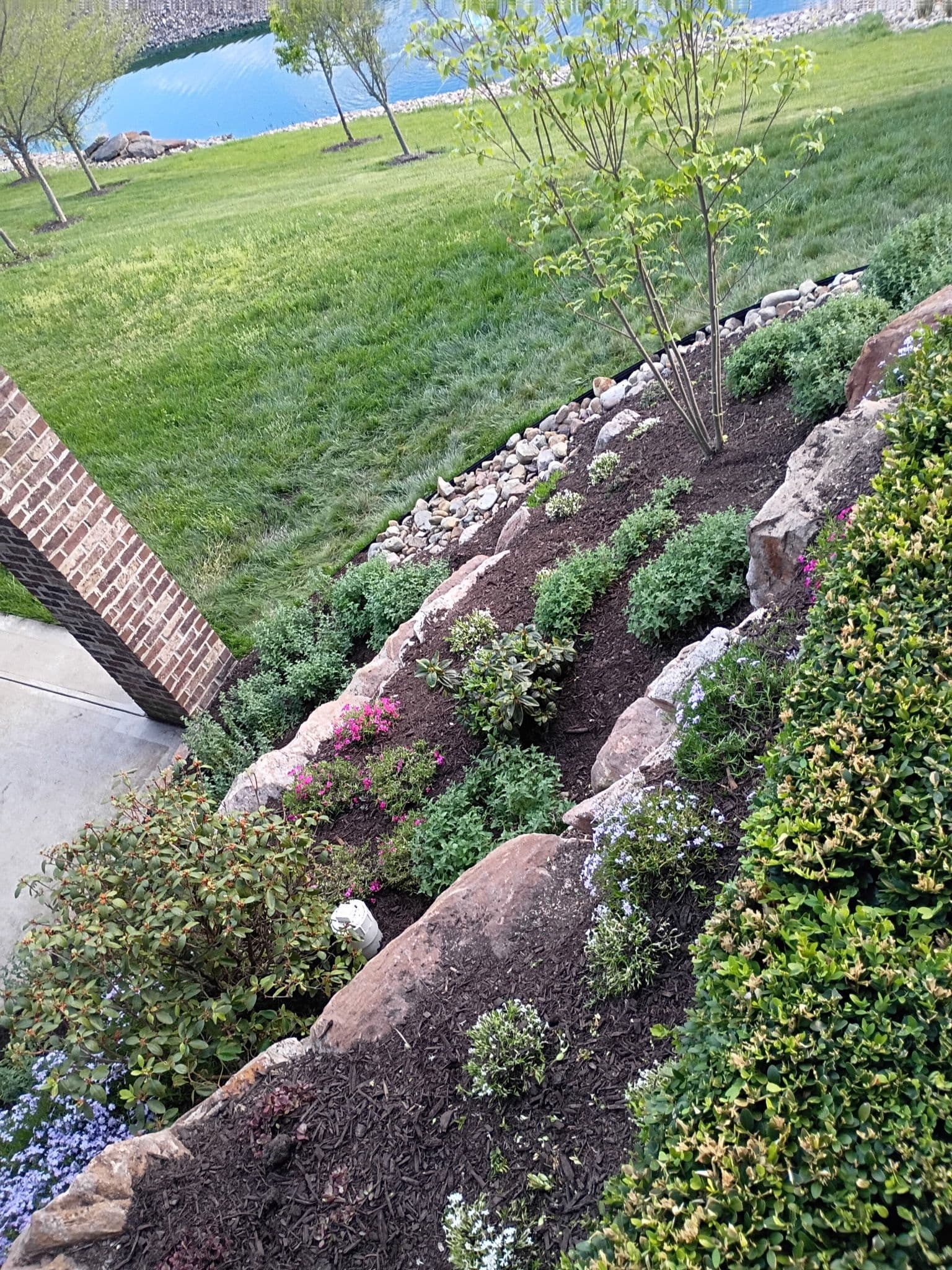 Gallery photos for Fresh Plants and Shrubs Fill Out These Garden Beds: Image #3