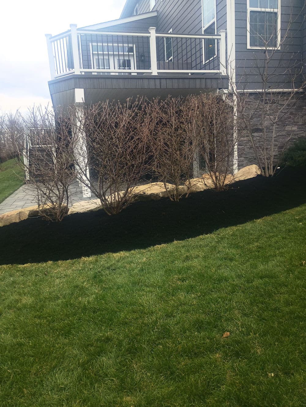 Gallery photos for Black Mulch Landscaping That Makes Your Whole Yard Pop: Image #2