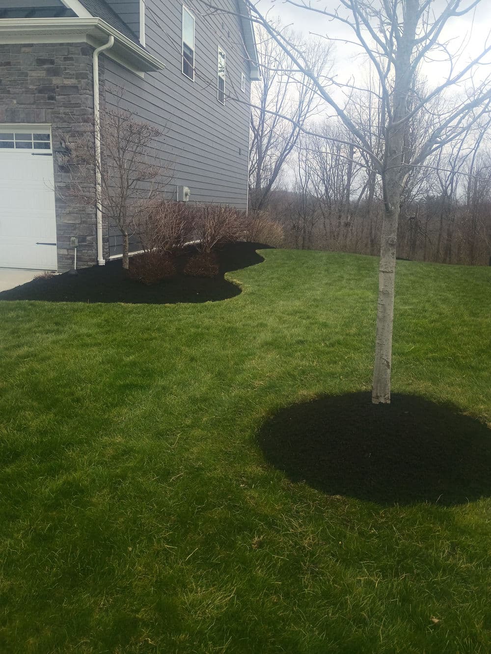 Gallery photos for Black Mulch Landscaping That Makes Your Whole Yard Pop: Image #3