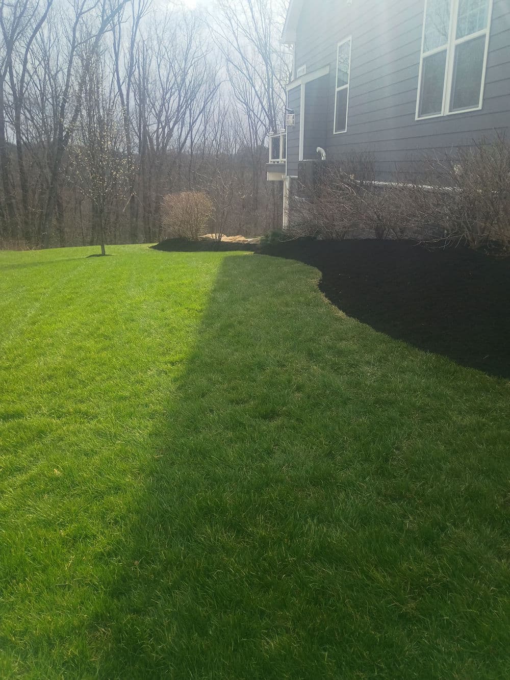 Gallery photos for Black Mulch Landscaping That Makes Your Whole Yard Pop: Image #6