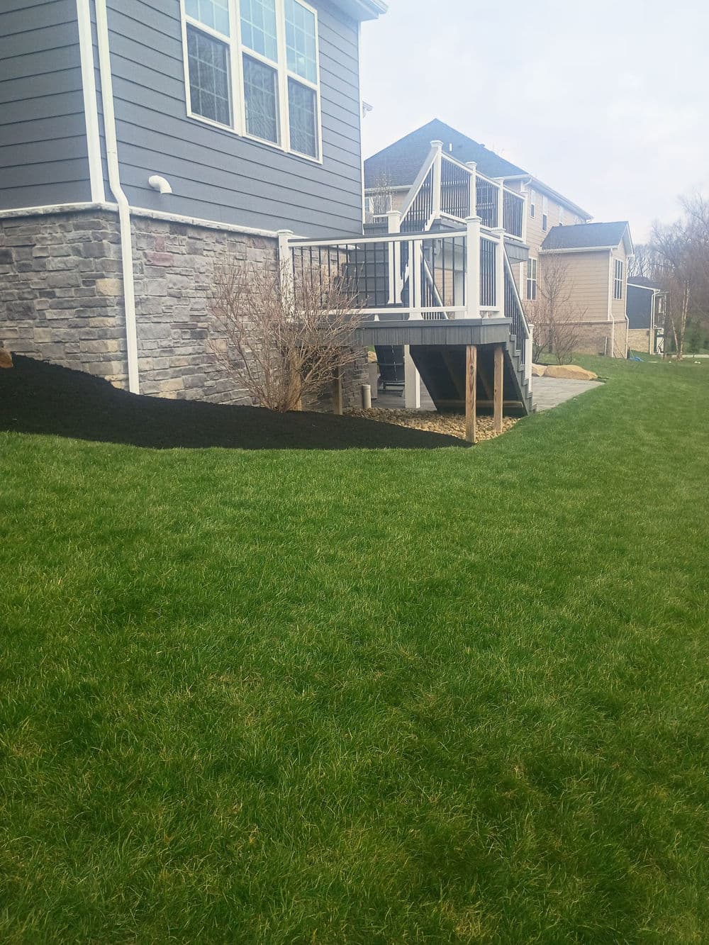 Gallery photos for Black Mulch Landscaping That Makes Your Whole Yard Pop: Image #8